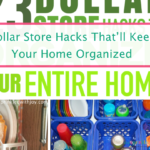 23 Of The Best Dollar Store Hacks To Organize Your Home