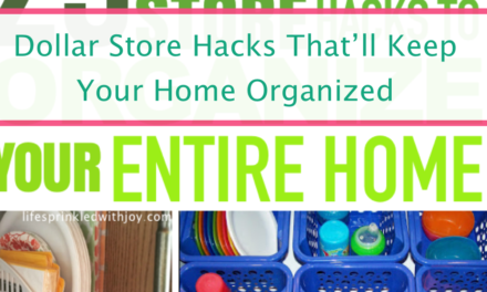 23 Of The Best Dollar Store Hacks To Organize Your Home